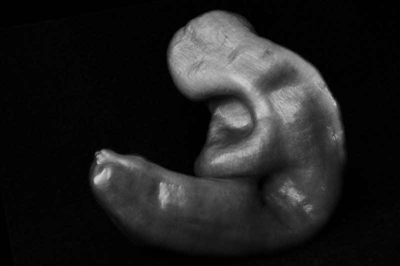 Edward Weston fotografía mexicana