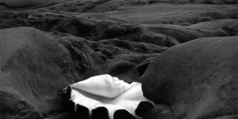 Fotografía abstracta en blanco y negro de Edward Weston.