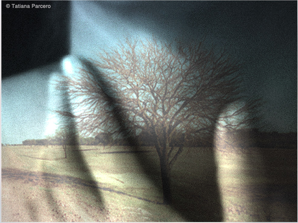 Obra de arte de Tatiana Parcero con diagramas anatómicos sobre el cuerpo