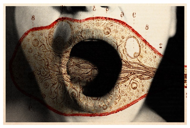 Serie fotográfica artística de Tatiana Parcero sobre identidad y memoria