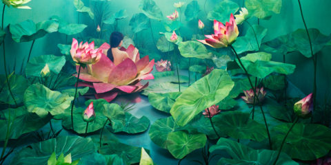 Fotofestin. Jee Young Lee. Resurrection fotografía construída escenografia artista coreana fotografa