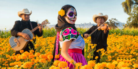 Moi Nit Studio fotógrafo mexicano street dia de muertos cempasuchil 2 de noviembre ofrenda Eduardo Moisés Ramírez fotofestin